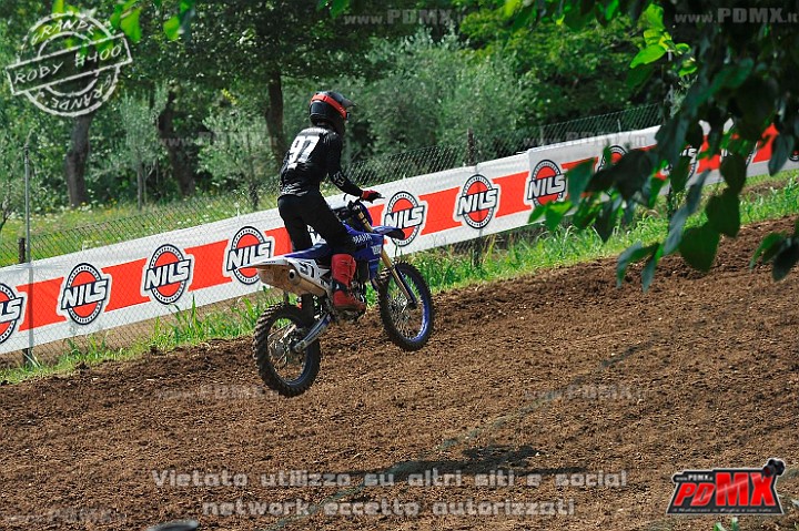 _DSC1040 (Copy).jpg